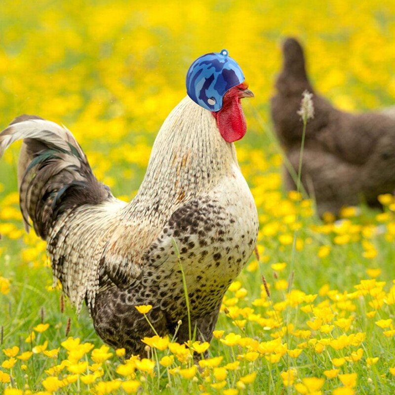 Hen Bird For Small Chicken Funny Protective Cool Chicken Helmet Pets Chicken Hard Hat Hamster Hat Helmets Hood 1PC Helmet