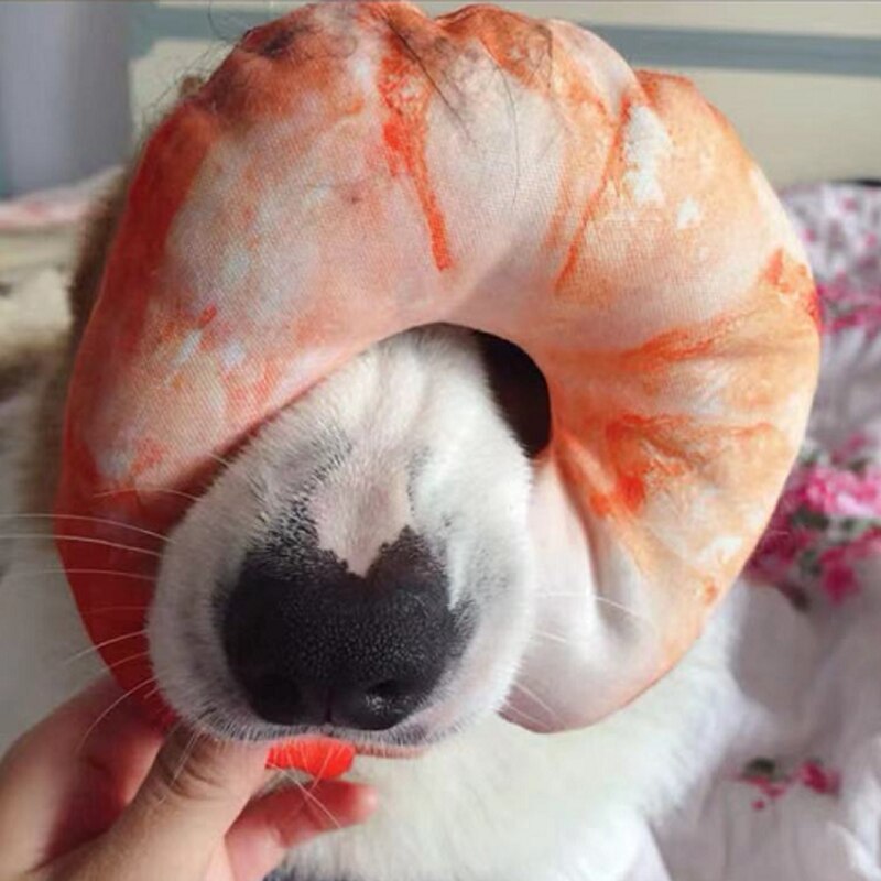 Hundleksaker bitsäker bomull tuggleksak valp interaktiva små leksaker grönsakstrumpinne för hundar katter husdjur produkter tillbehör