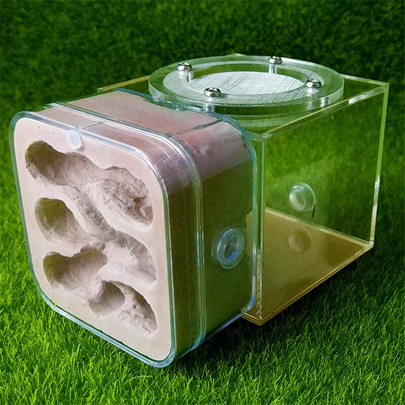 Myre transparent akryl combo med hybrid sand myre rede formicarium myre gård: Stil 5