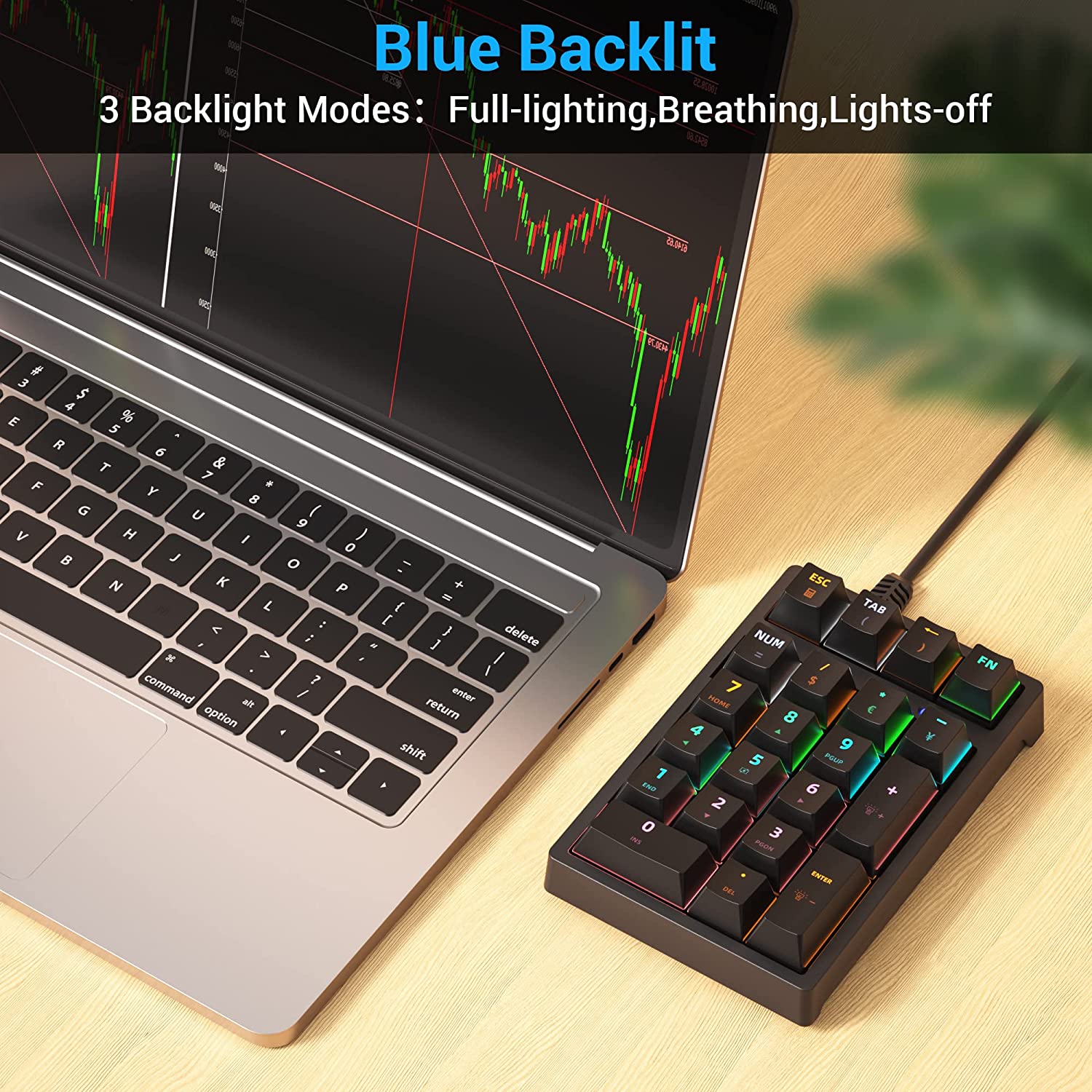 Mechanisch USB bedraad numeriek toetsenbord met RGB LED-achtergrondverlichting 21-toetsen numpad Mechanisch numeriek toetsenbord voor laptop-desktop
