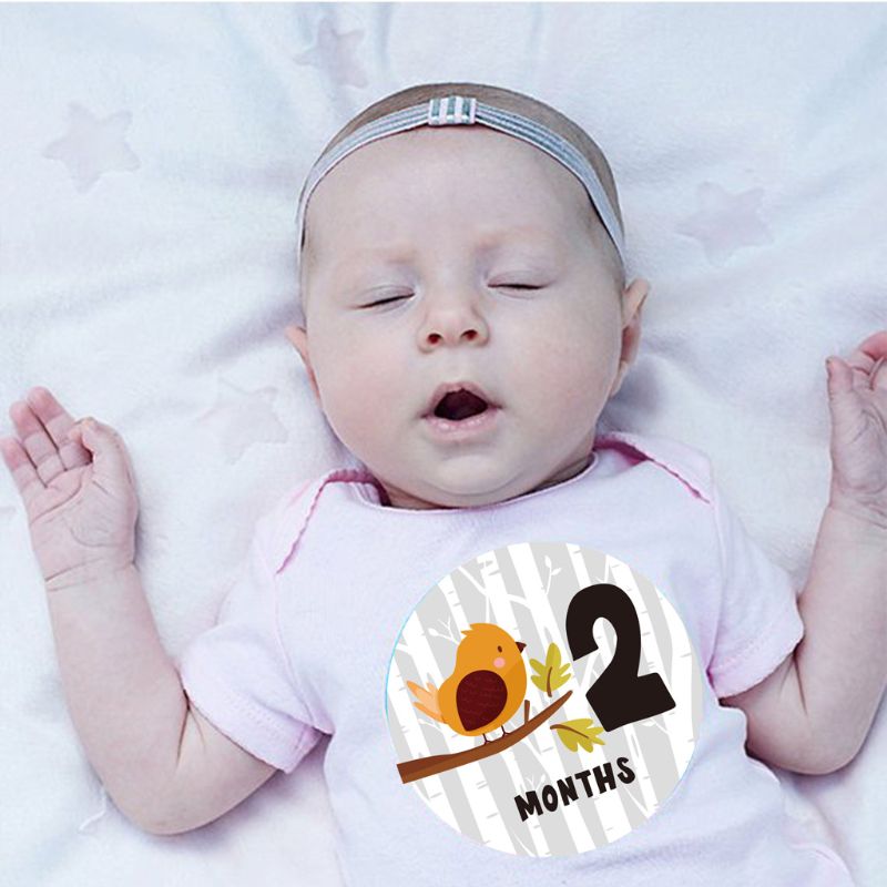 Divertida fotografía mensual de dibujos animados para mujeres embarazadas, adhesivo de hito, meses 1-12 meses, bebés, primeros meses, edad