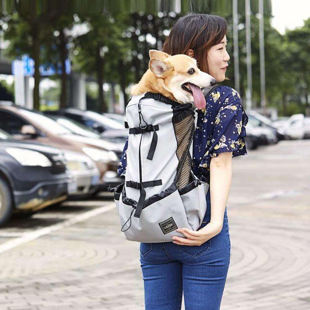 Bolsa de transporte perro transpirable para perros grandes Golden Retriever mochila con Bulldog ajustable bolsas de viaje para perros grandes productos para mascotas: gray / m