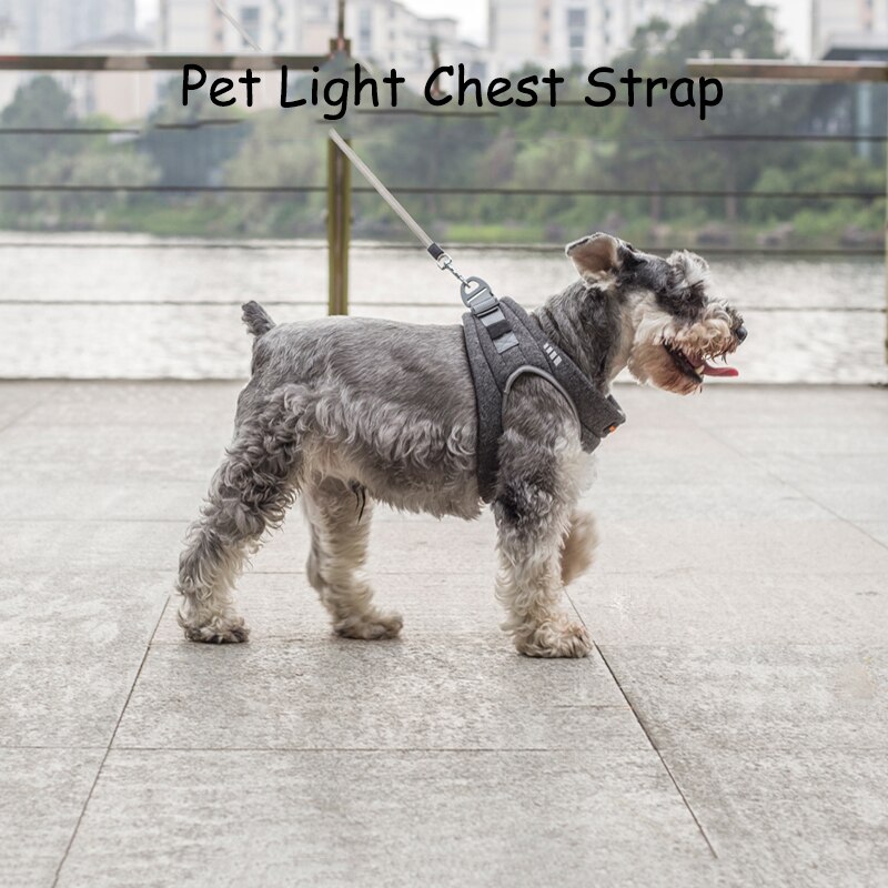@ HIJ Pet light borstband Verstelbare Ademend Reflecterende Veiligheid Pet Dog Harness Lead Hond Borstband Accessoires
