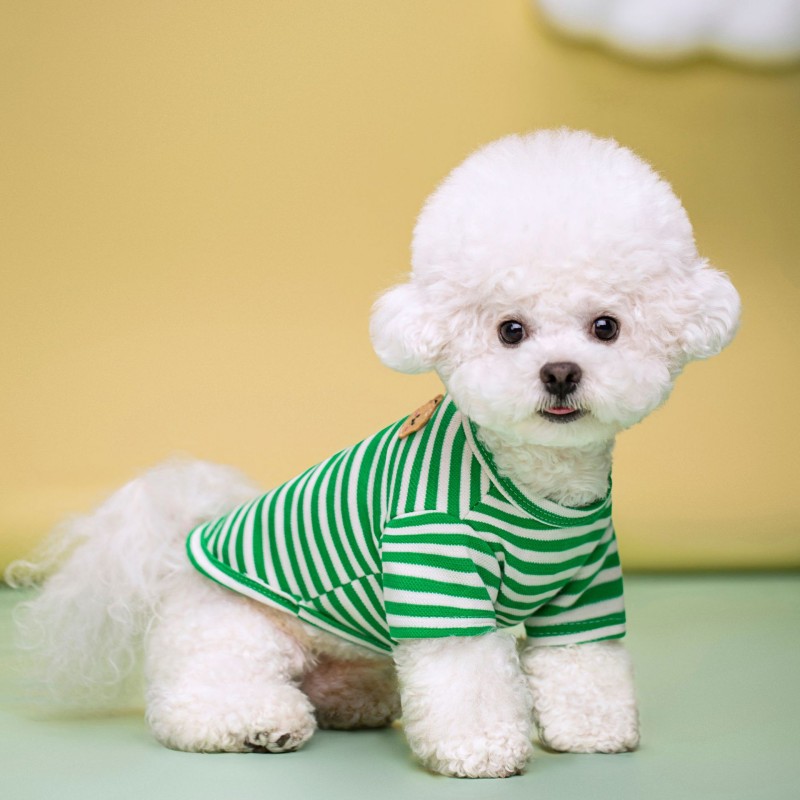 Bear Print Sriped Dog Vest Summer Dog Clothes Puppy T-Shirt Cotton Girls Dog Costume Chihuahua Bichon Frise Clothing Dog Apparel: S / green