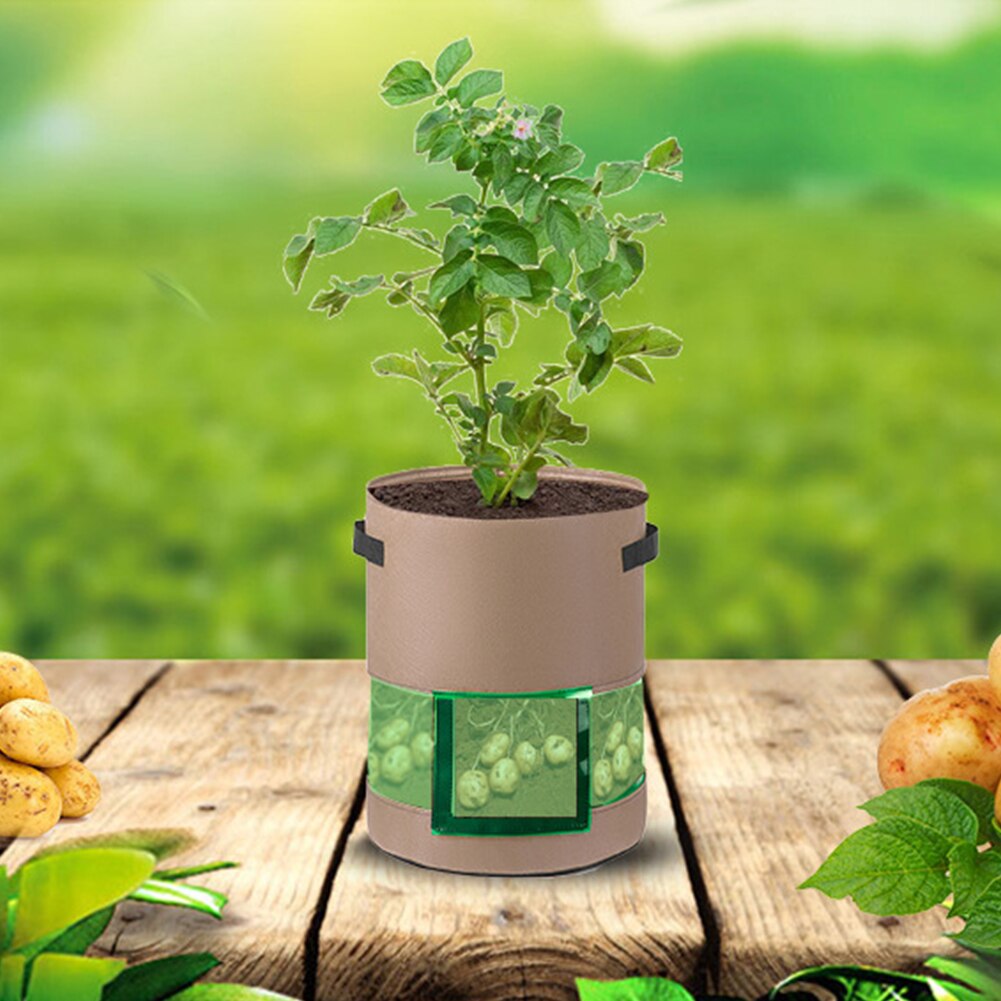 Plant Planting Bag Potato and Tomato Covered Middle Transparent Potato Planting Bag