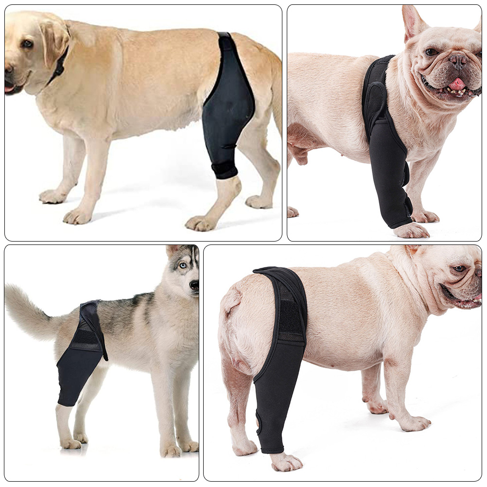 Haustier-Beinstütze für kleine Hunde, Schwarz, Größe S, Neopren, Kniestütze, Vorderbeinschutz, verletzte Welpen, Hundebandagen, Wundenzubehör