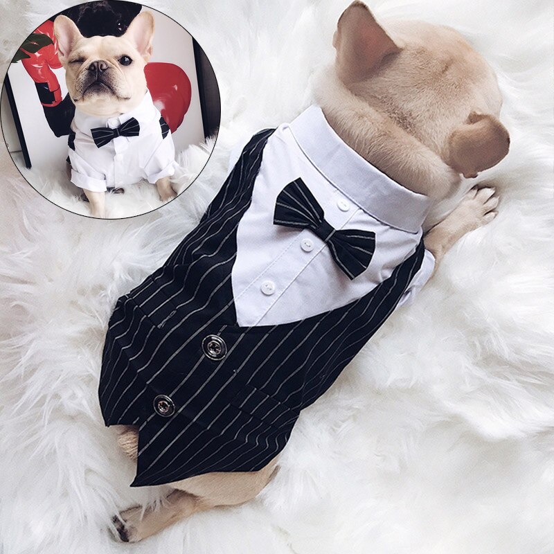 Gentleman chien vêtements rayure chien Costume formel chien chemise avec noeud mariage Costume chiot vêtements animal de compagnie petit chien Costume