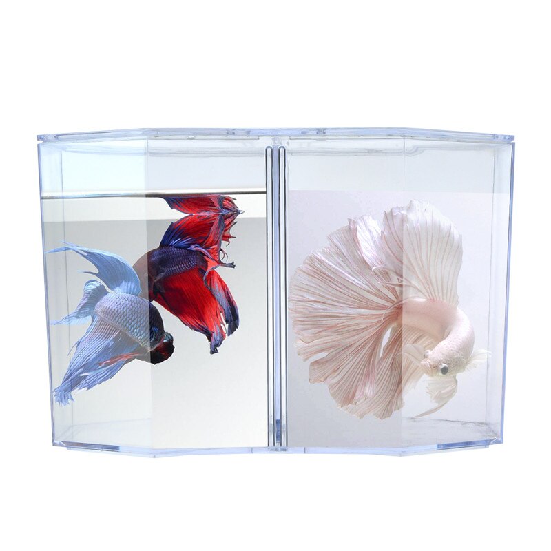 Saim 1Pcs Double Betta Box Fish Tank Aquarium Clear Fish Breeding Isolation Box Aquarium Transparent Arcylic Fish Breeding Box