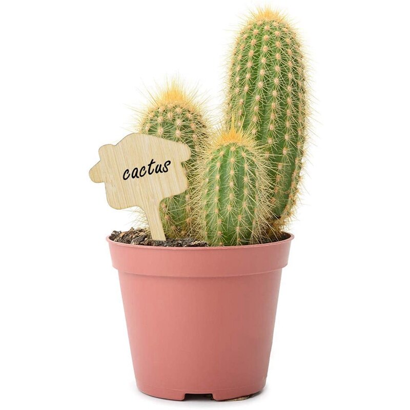 50 Pcs Bamboo Plant Seed Label Vegetable Garden Mark Nursery Garden Plant Insert