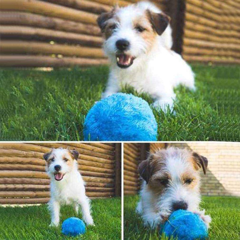 Huisdieren Haar Bal Pluche Huisdier Afstoffen Speelgoed (Kleine Kleur Doos) automatische Stofzuiger Voor Hond Kat Speelgoed Hs Hs