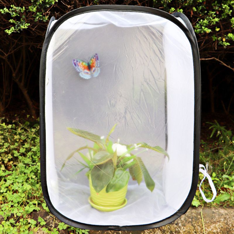 Insect Cage Foldable Butterfly Habitat Mesh Transparent Surface Zipper Closure Portable Insect Observation Net Box