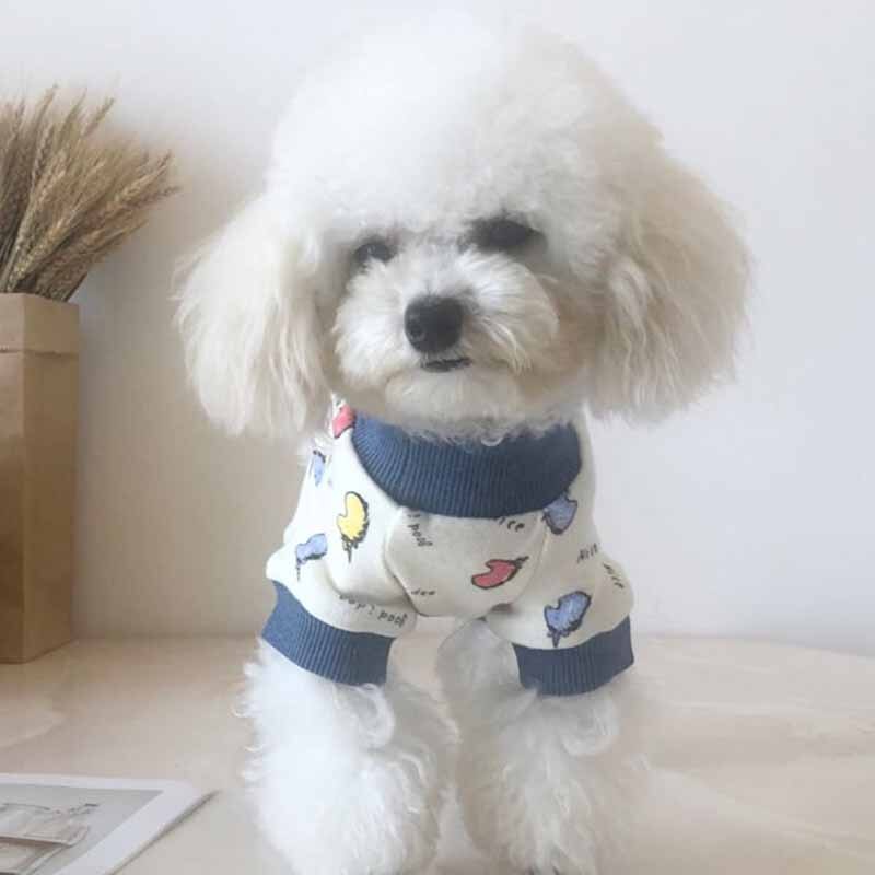 Ubrania dla zwierząt nowe modele jesienne i zimowe wełniane rozciągliwe ubrania dla misia niż panda ubrania czteronożne