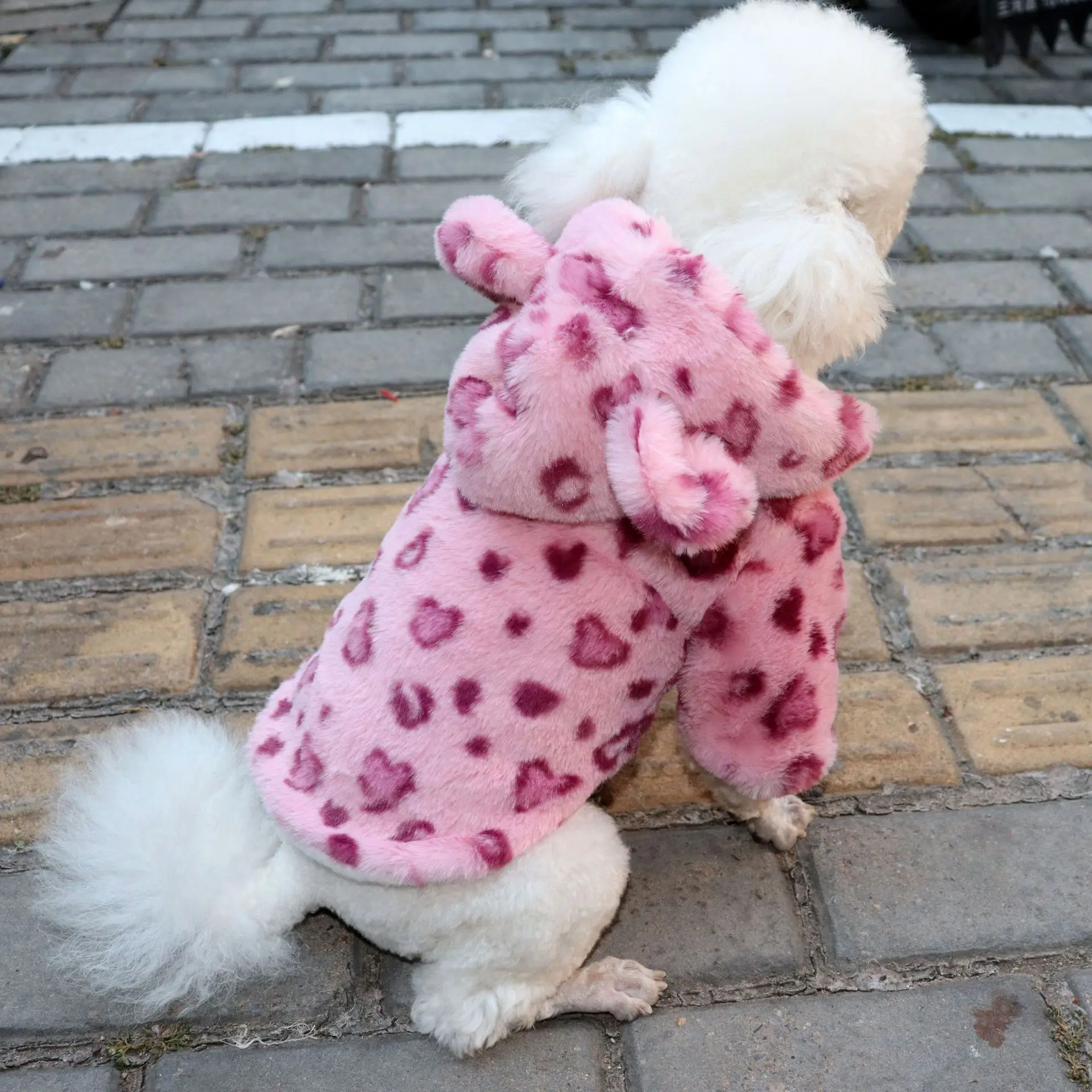 Dog Winter Jacket - Fleece Teddy Coat - Thick Pet Clothes for Small Dogs