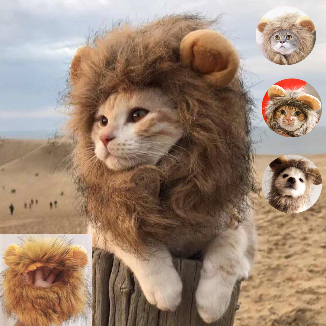 Peluca de gato de melena de León, sombrero para perros y gatos pequeños, accesorios de decoración para mascotas, disfraz de Peluca de León, gorro de pelo , suministros para mascotas