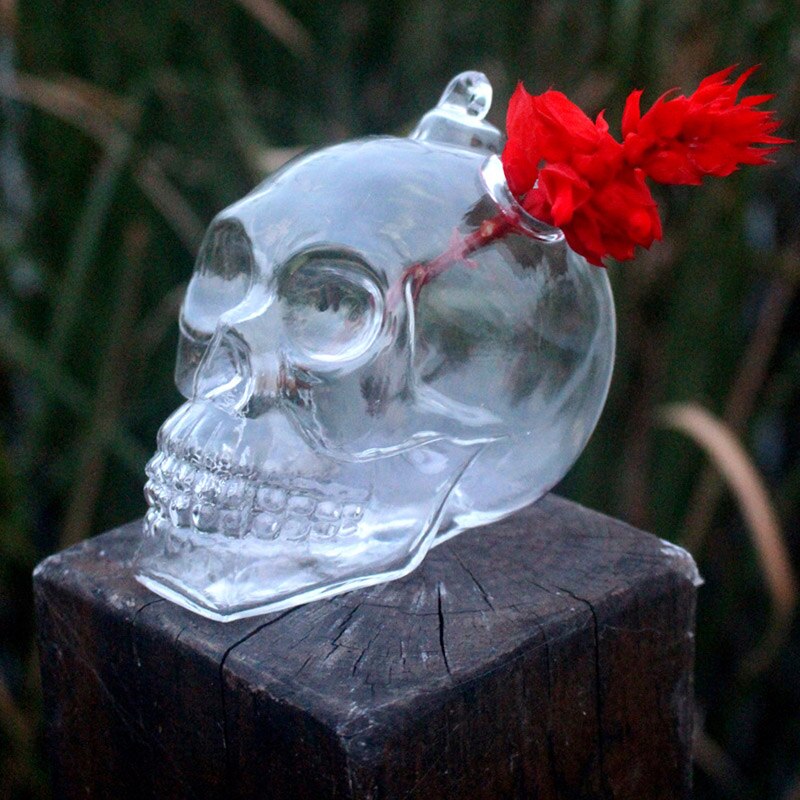 Vase à fleurs en verre pour jardin, 1 pièce, tête de mort, suspendu, style hydroponique