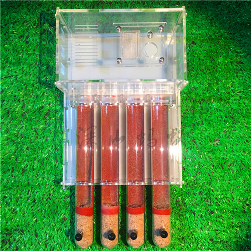 Granja de hormigas de vidrio acrílico con área de alimentación, casa de hormigas, fábrica de insectos, 4 tubos de ensayo, hormiguero: Ordinary test