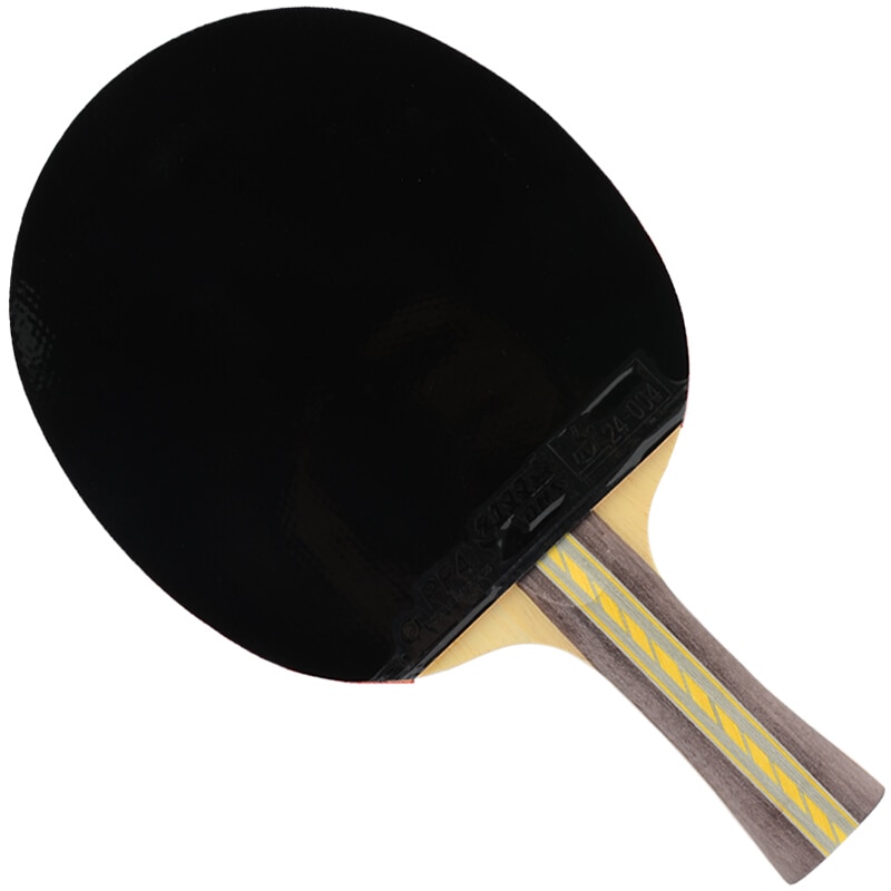 DHS table tennis rackets 3-star 3002 3006 with rubber PF4-1 pips-in racket ping pong bat paddle