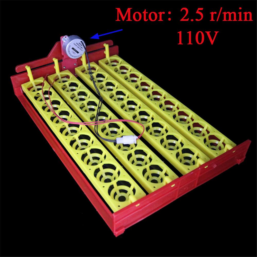 Incubadora para aves, 36 ovos, bandeja giratória, pato, ovo de codorna, pássaros, equipamento automático de incubação para animais de fazenda: AC 110V