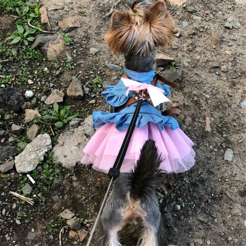 Lemmikkikoiran hääpuku farkkukissahame prinsessakoira söpö pinkki sininen pieneen koiran mekkoon kevät ja kesä nalle pentu chihuahua