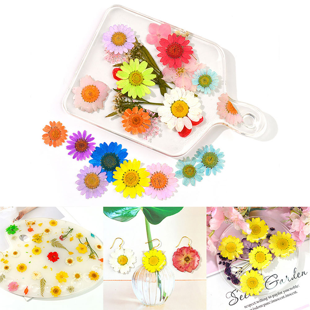 Silicone world Dried Flower Dry Plants For Epoxy Resin Pendant Necklace Jewelry Making Craft DIY Accessories UV Expoxy Flower