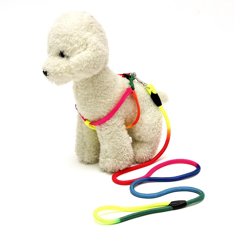 Hond kat harnas riem verstelbaar harnas vest riem halsband puppy kleine hond buiten wandelen chihuahua terier schnauzer: Default Title