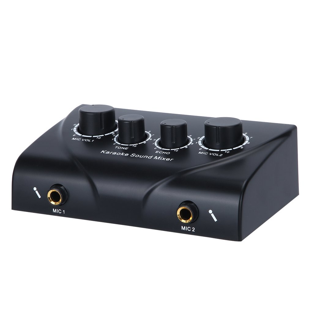 Karaoké son mélangeur numérique son système Audio Portable Mini numérique Audio son karaoké Machine écho mélangeur système