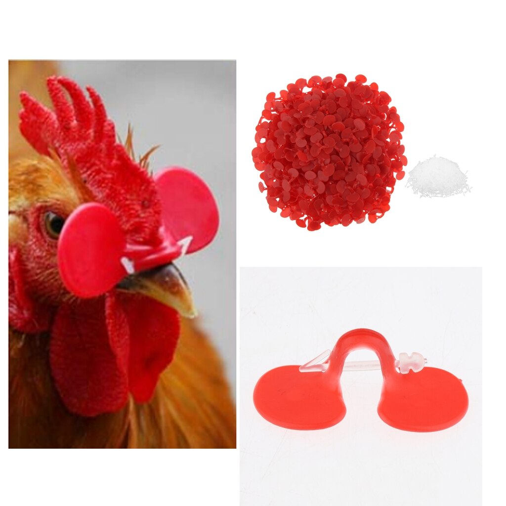 500x Chicken Glasses Chicken Pheasant Anti-pecking Glasses Poultry Supplies