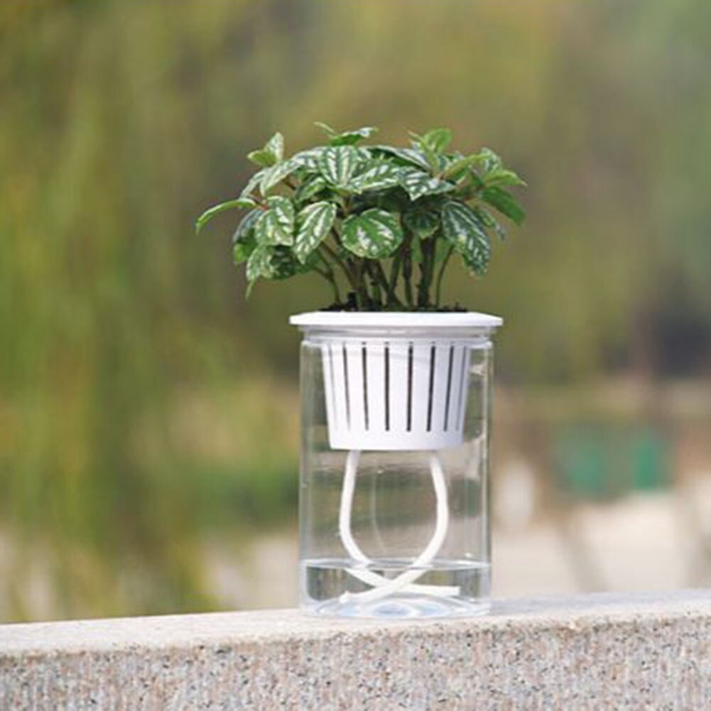 Automatisk absorptionsplantepotte selvvandende udendørs have hjem gennemsigtig blomsterpotte planter container xhc 88: M