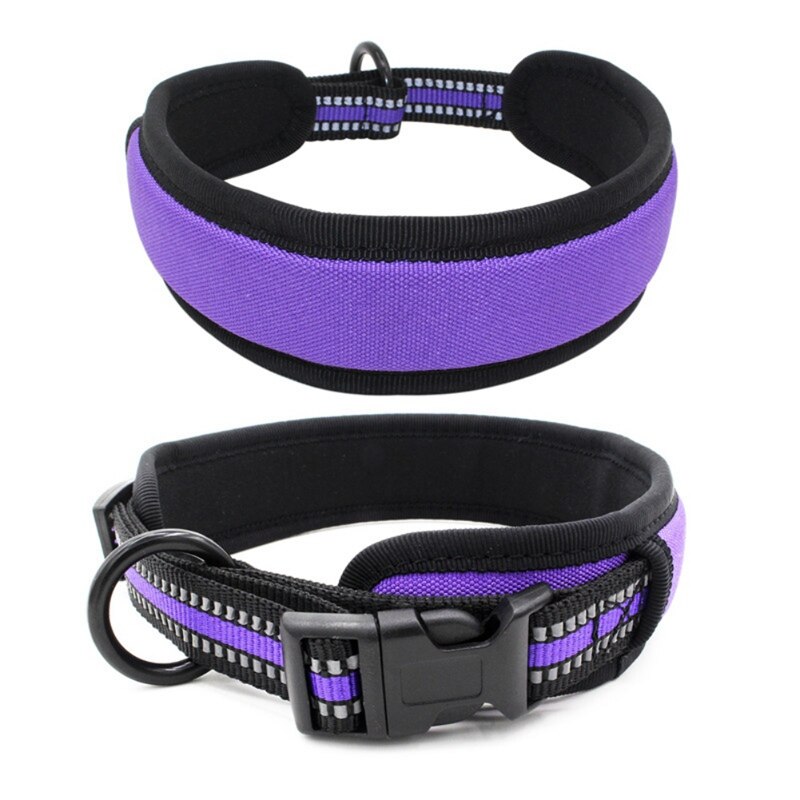 Huisdier Halsband LED Light Night Veiligheid Dierbenodigdheden Insert Gesp Honden Reflecterende Lint Kraag Puppy Ketting