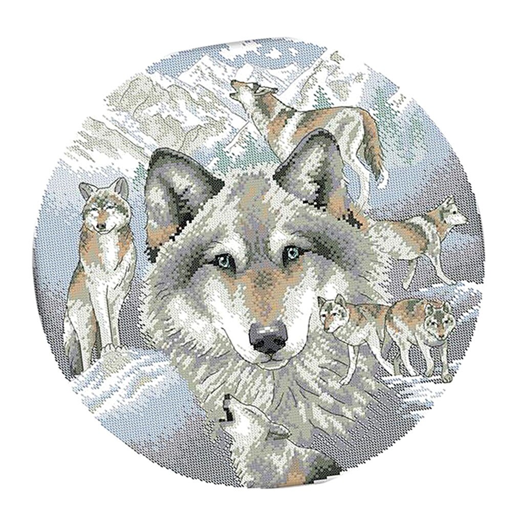 Dimensions Counted Cross Stitch Kit for Students Learn to Embroidery Crafts