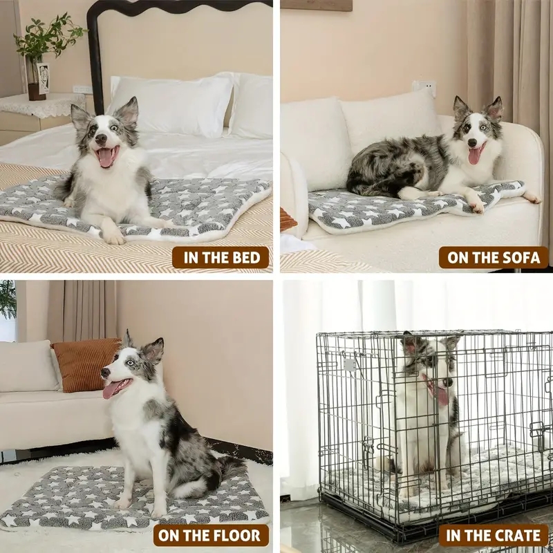 Colchoneta para dormir para perros y gatos, manta gruesa de pelo suave, lavable, cálida, con patrón de oso, suministros para mascotas
