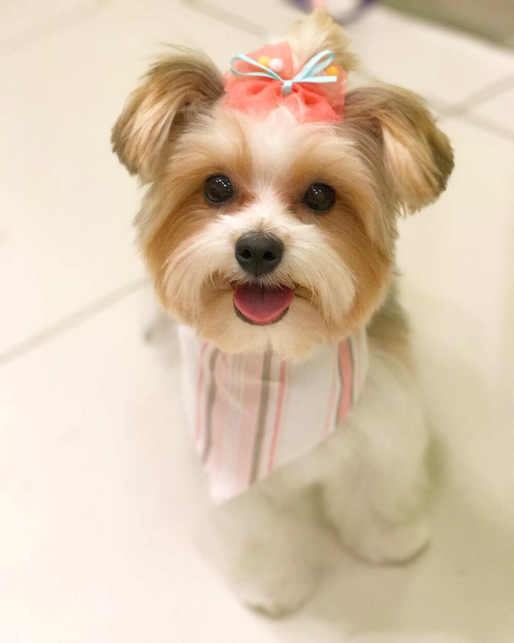 20 stk kjæledyr valp hund hår sløyfer polyester med perler kjæledyr hund stelle buer hund hår tilbehør for små hunder valp kjæledyr produkter
