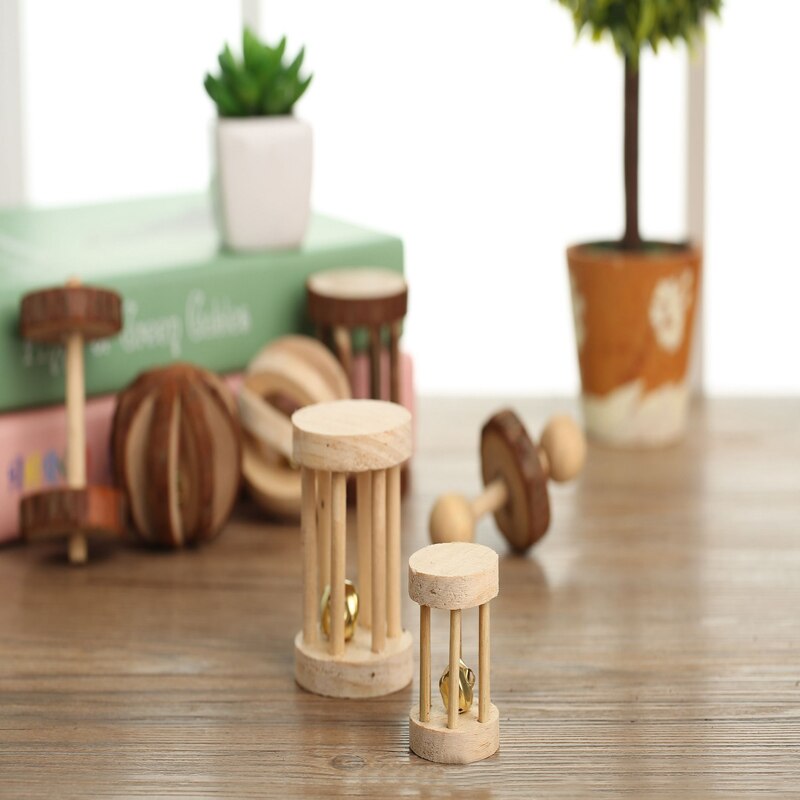 Petit Hamster en bois molaire jouets à mâcher Animal écureuil néerlandais cochon sport exercice soins dents jouets créatifs fournitures pour animaux de compagnie