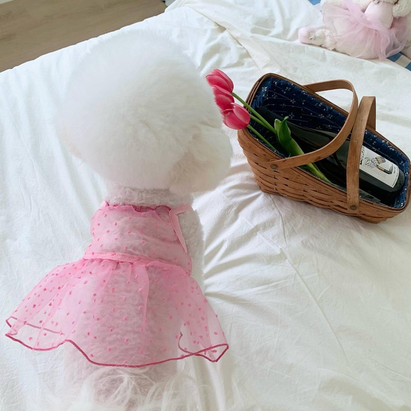 Vestiti rinfrescanti per cani Bretelle per animali domestici Vestito per cani Pizzo traspirante Sottile Gonna per cuccioli chihuahua Bichon Barboncino costume per cani per ragazze 2025 Nuovo