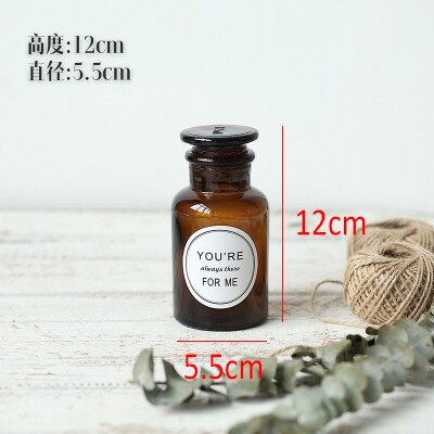 Ins nordisk stil retro gennemsigtig brun aesop flaske vase desktop fotografering tilbehør studio fotobaggrund diy ornament