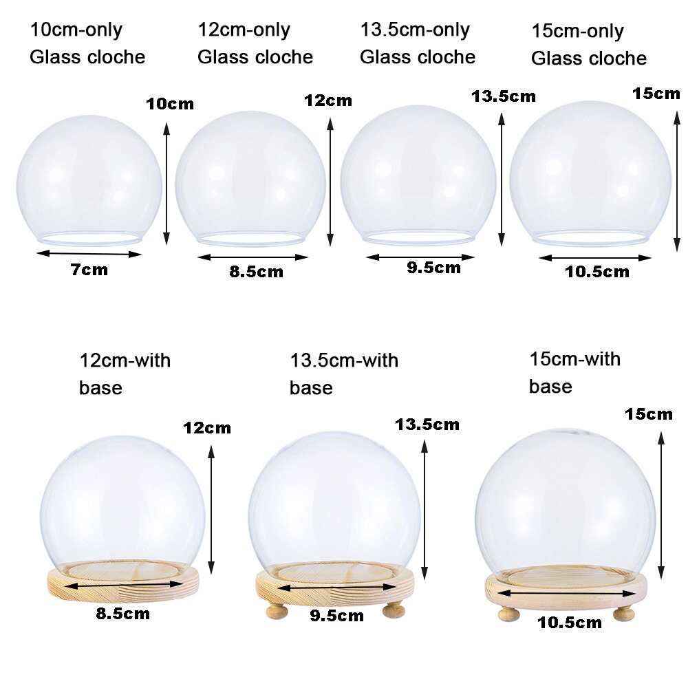 Spherical Glass Cloche Jar Display Stand Cover Terrarium Bottle with Wooden Base Acrylic Dust Cover Display Box Flower Box Home