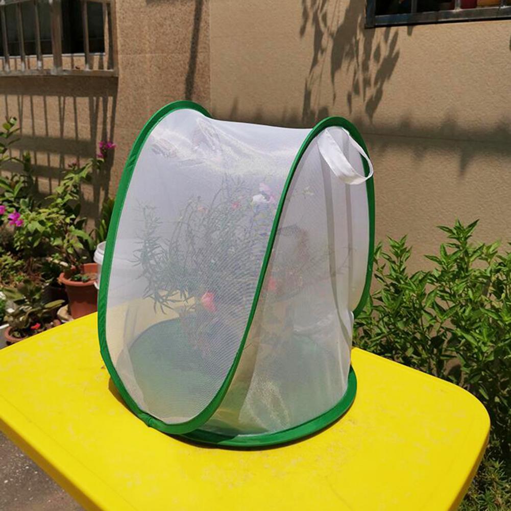 Insect Kooi Opvouwbare Te Dragen Groene Insect Mesh Kooi Terrarium Voor Tuin