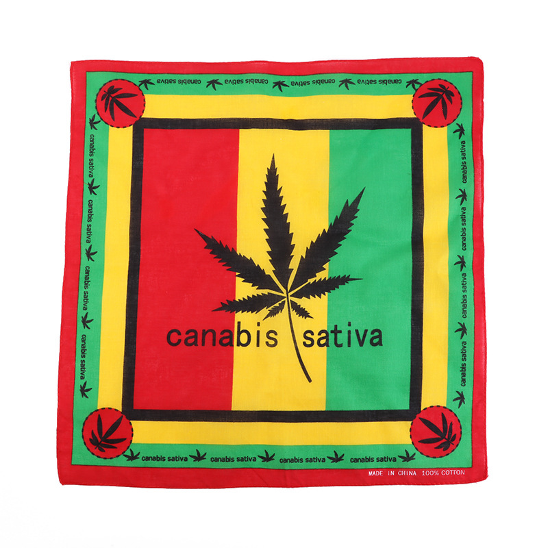 Rasta Style Reggae, foulard carré de poche en coton pour hommes, masque de sport, de cyclisme, bandeau Hip Hop: 6