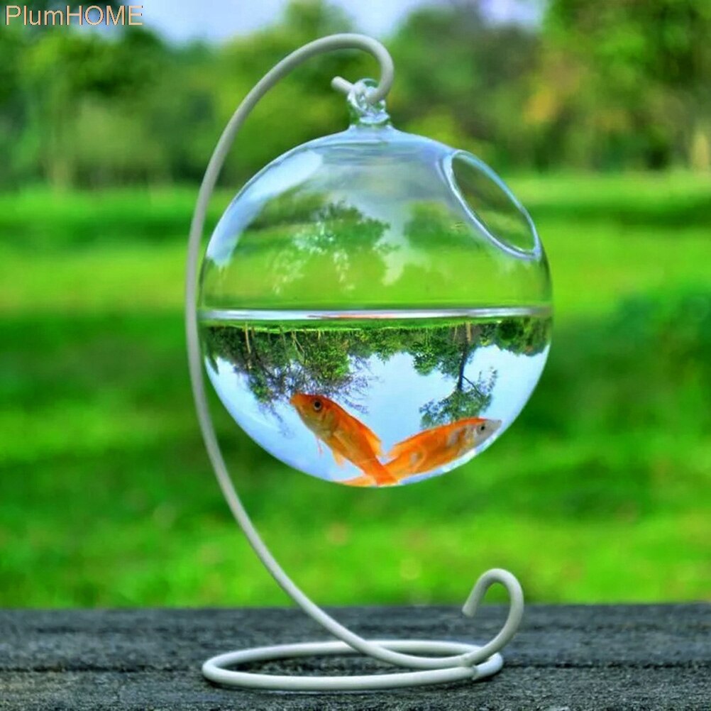 Aquarium en verre suspendu de forme ronde 12cm, bocal à poissons, Vase à fleurs, boule transparente, fait à la main✖12cm