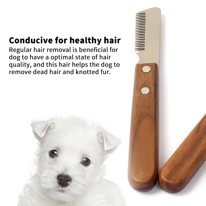 Pettine per cani despargimento strumento per toelettatura pennello professionale in legno per animali domestici Schnauzer da corsa cane toelettatura toelettatura attrezzo canna da barba coltello pettine