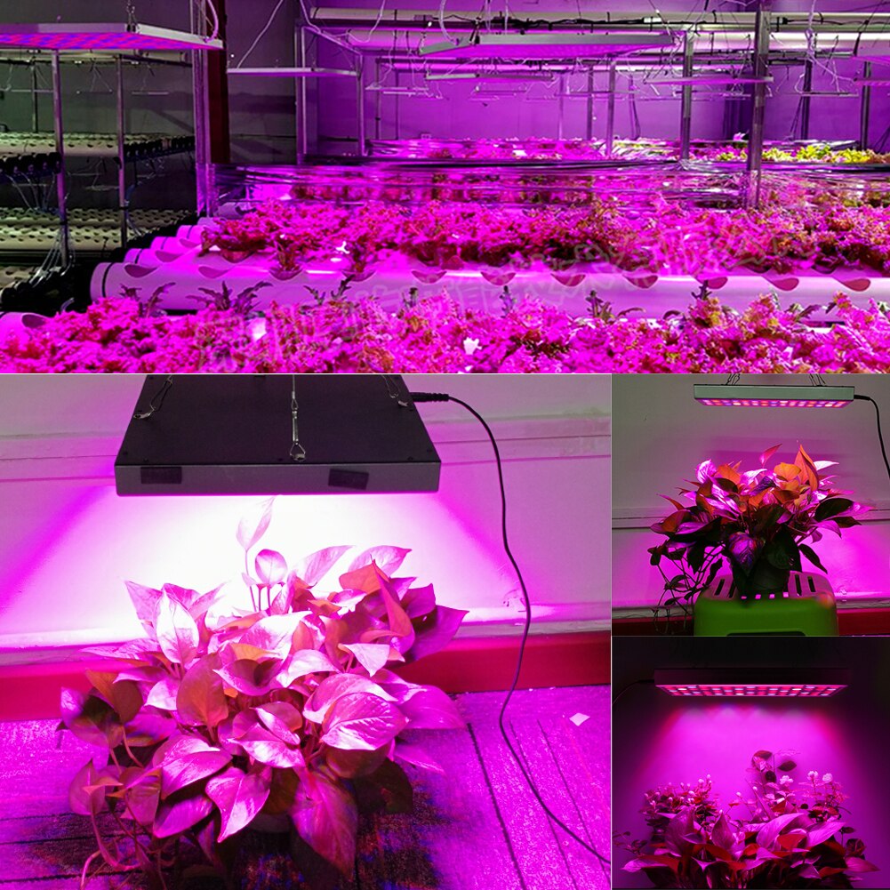 25W / 45W LED Luz de cultivo hidropónico espectro completo planta de interior Flor de crecimiento