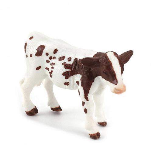 Beeldje Model Prachtige Educatief Livelike Verbazingwekkende Mariene Organismen Miniatuur Speelgoed Voor Kleuterschool: D