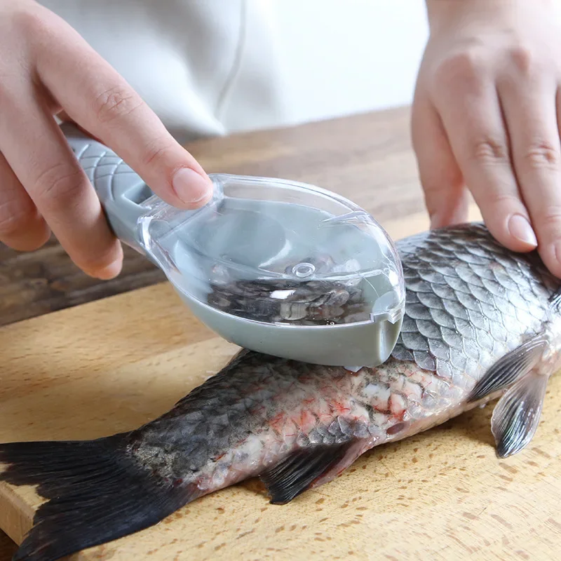 Brosse à Écailles de Poisson, Ustensile de Cuisine pour Râper la Peau des Poissons, Démontage Rapide, pour Nettoyer et Gratter