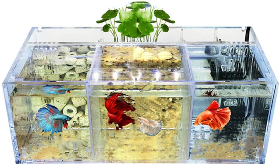 Betta Fish Tank Acrylic Material Mini Desktop Aquarium Goldfish Small Gallon Fish Tank Sick Fish beta Isolation Room