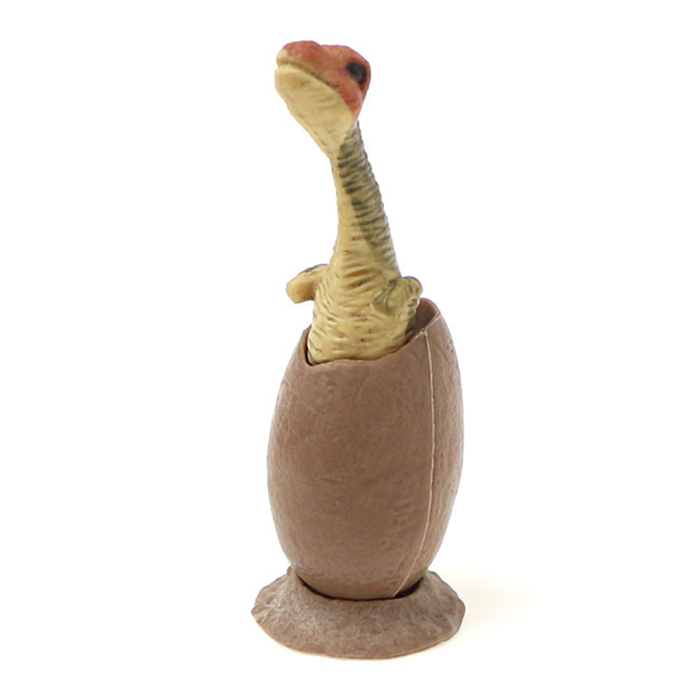 6 unids/set/set simulación eclosión de huevo de dinosaurio modelo niños juguete educativo Decoración