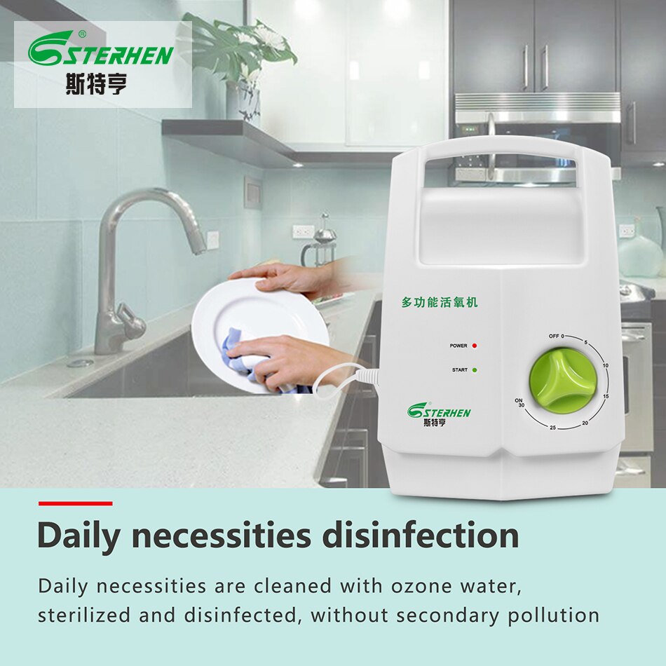 sterhen ozone generator 220v O3 Timer Air Purifiers ozone purifier Vegetable washing machine Kill bacteria in water