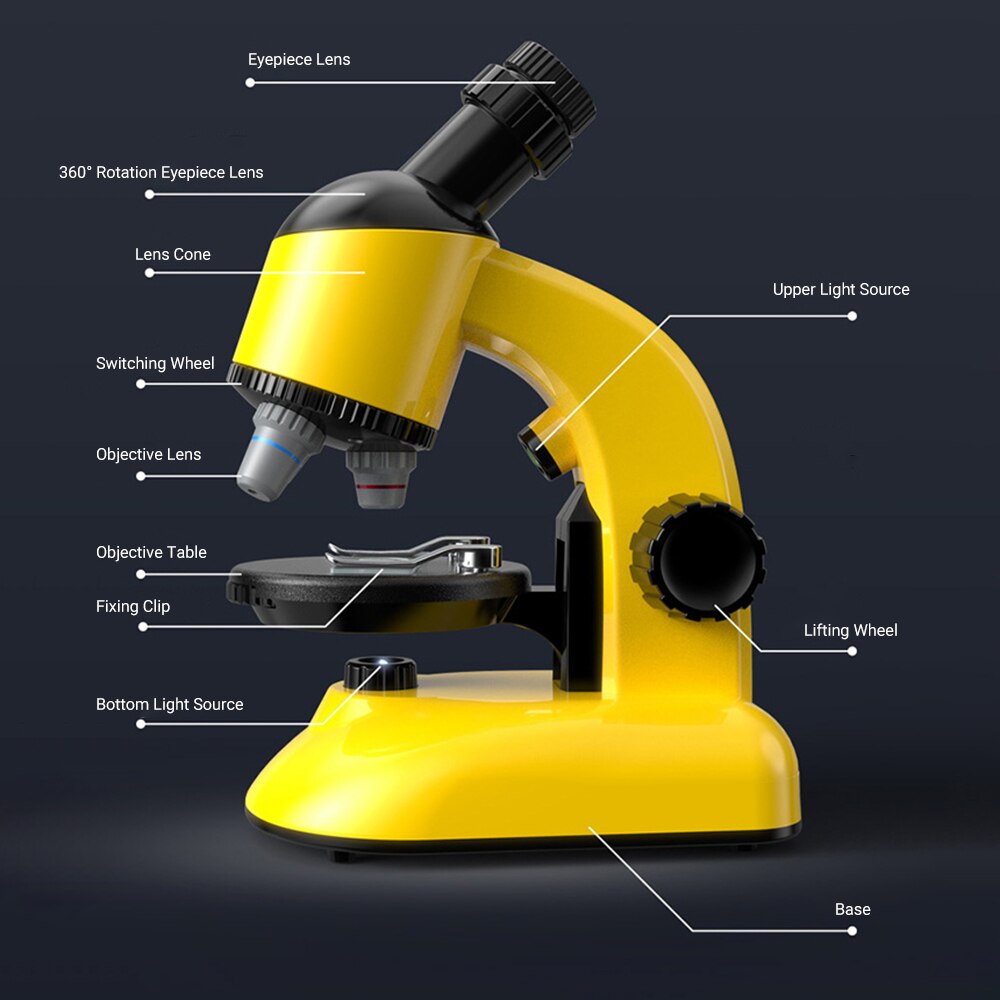 Microscopio per bambini oggetto e osservazione dei campioni 40X ~ 800X ingrandimento Mini Desktop Kit microscopio per principianti Mini microscopio per bambini