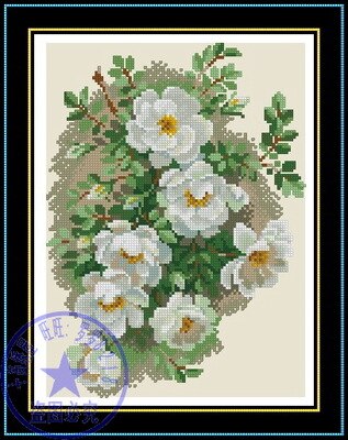 Top mooie hete geteld cross stitch kit aquarel jasmijn witte bloemen, bloem riolis 1351