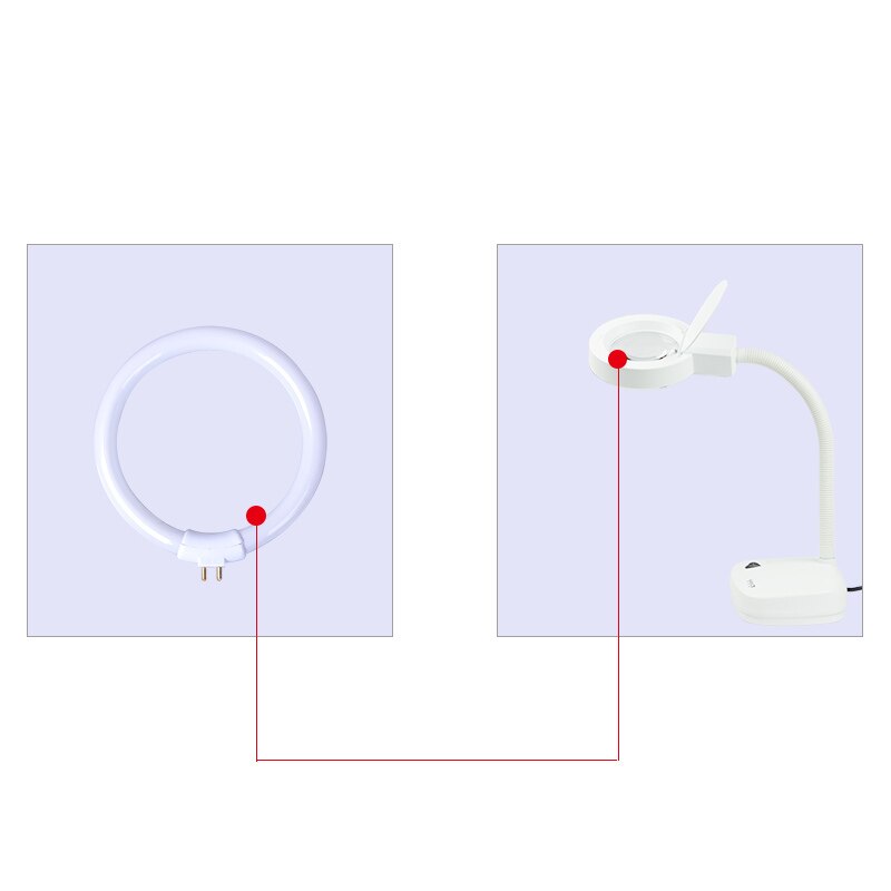 T4 Round Annular Tube 11W 110V & 220V G10q Fluorescent Ring Lamp 4 Pins Magnifying Glass Light Small Desk Lamps Bulb White