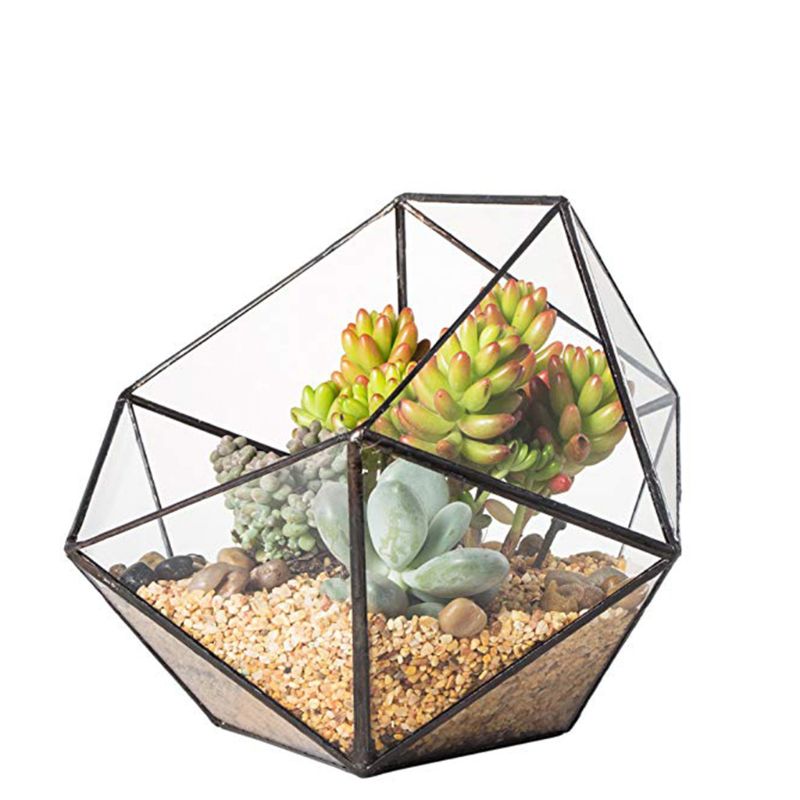 verre Terrarium boîte de rangement porte-bijoux, verre géométrique Terrarium table succulente plante boîte planteur support